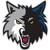 Minnesota Timberwolves alt.jpg