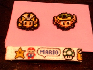 mini swap 2013 recived.JPG