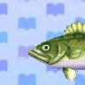 SEA BASS.png