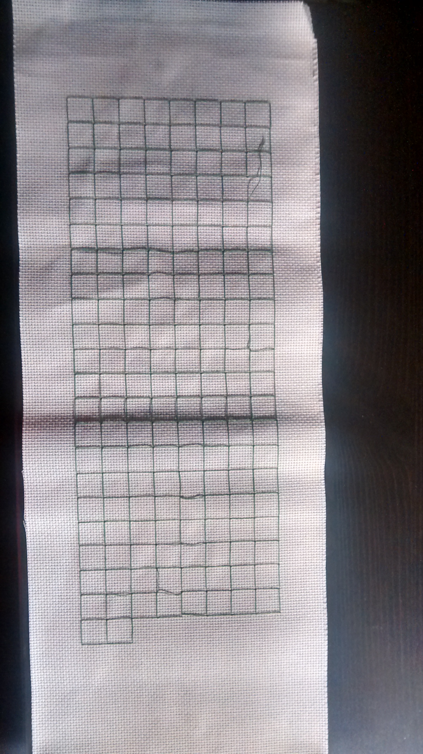 First session. Putting in grid lines.