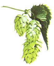 This is the one I think will be easiest to make.