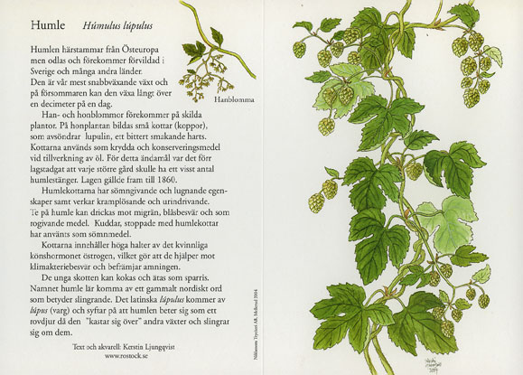 If this one is used please don't make a pattern of the whole picture just a branch with some leaves and "seed"