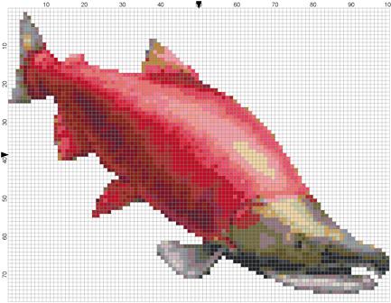 Salmon pattern 2.jpg