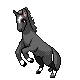 Black Horse Rapidash.png